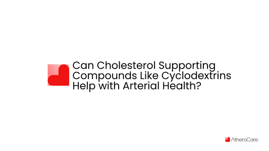 Can Cholesterol Supporting Compounds Like Cyclodextrins Help with Arterial Health?