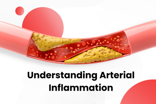 Arterial Inflammation and Its Role in Atherosclerosis