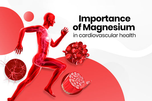 The Importance of Magnesium in Cardiovascular Health