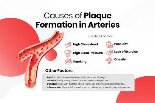 Causes Of Arterial Plaques