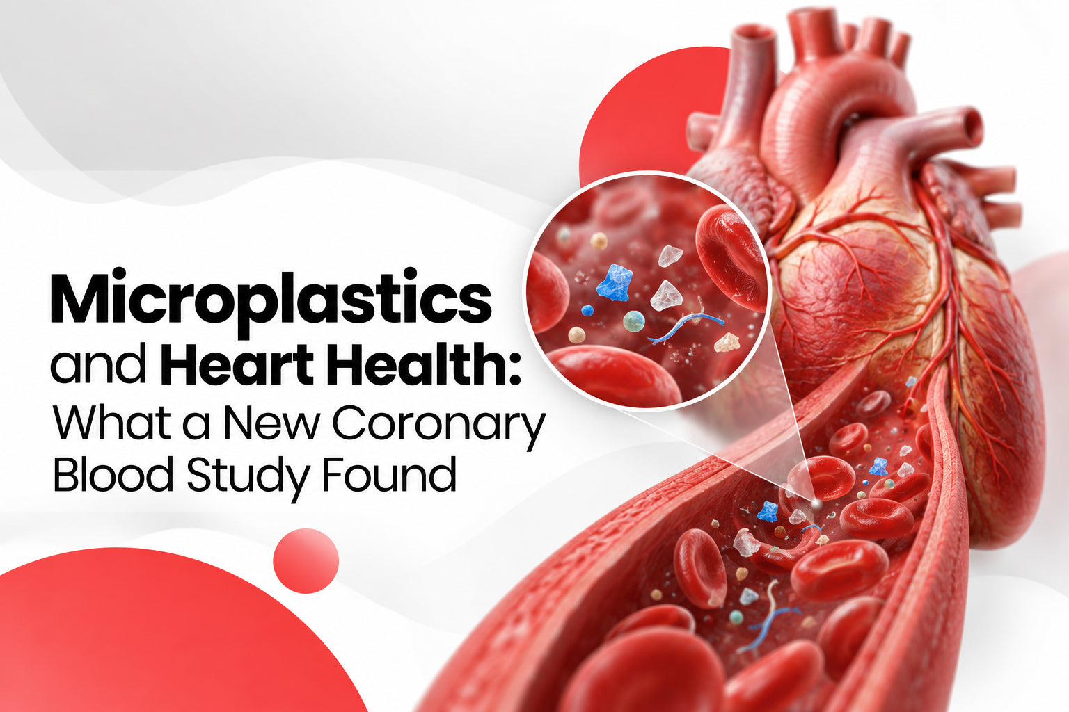 Microplastics and Heart Health: What a New Coronary Blood Study Found