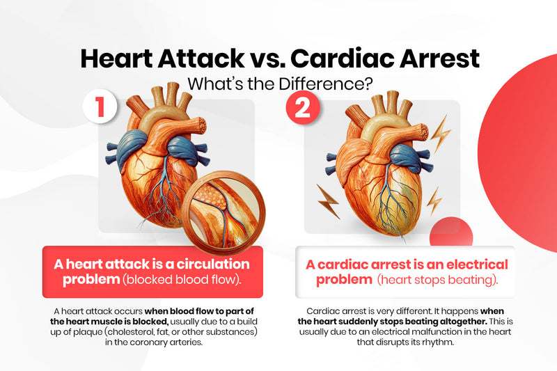 Heart Attack vs Cardiac Arrest