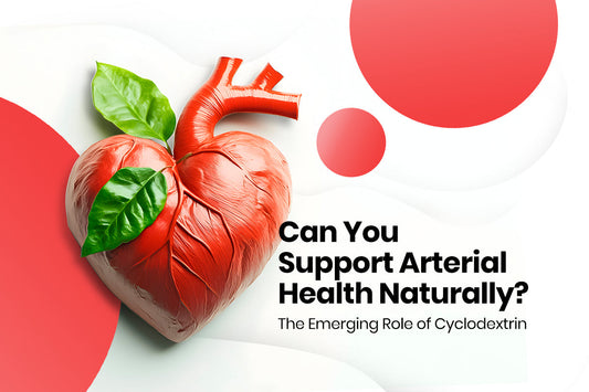 Can You Support Arterial Health Naturally? What to Know About Cyclodextrin