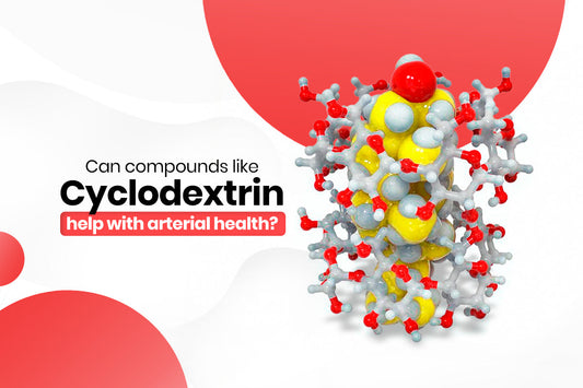 Can Cholesterol Supporting Compounds Like Cyclodextrins Help with Arterial Health?
